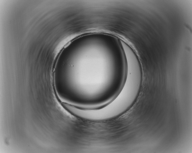 X0000099401239200805151658