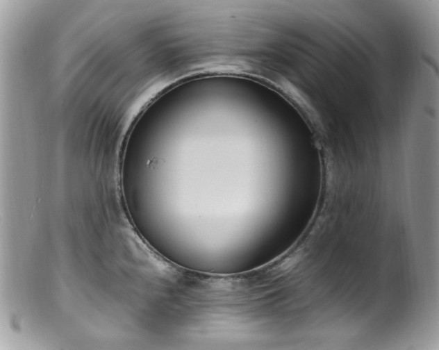 X0000099401240200805151658