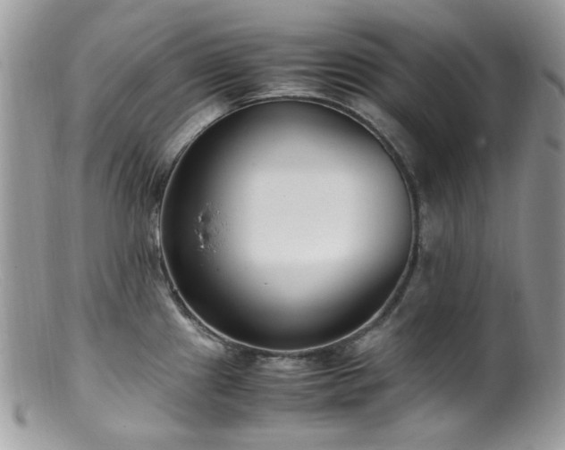 X0000099401241200805151658