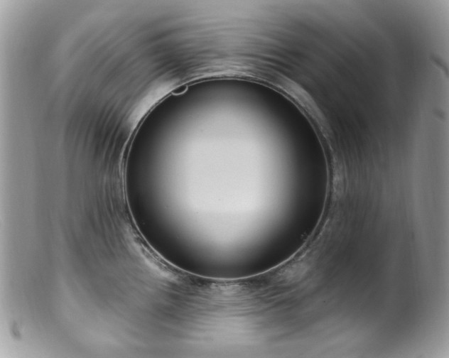 X0000099401242200805151658