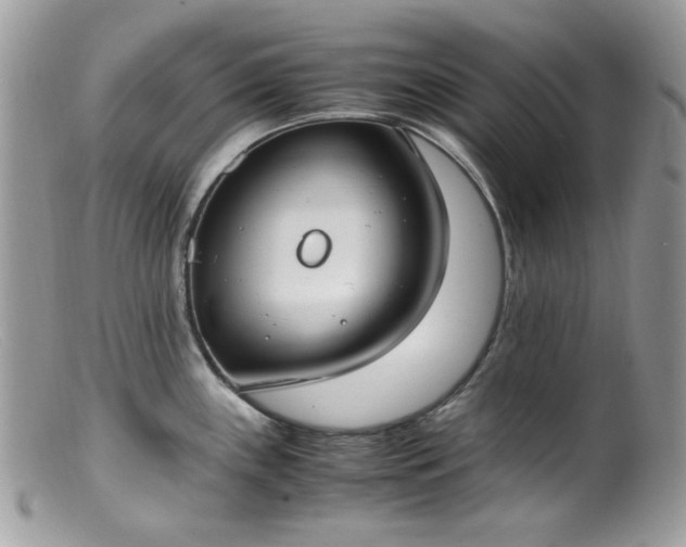 X0000099401243200805151658