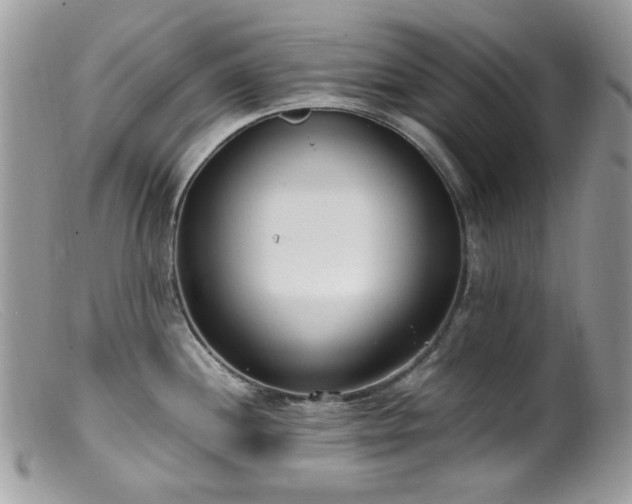 X0000099401244200805151658