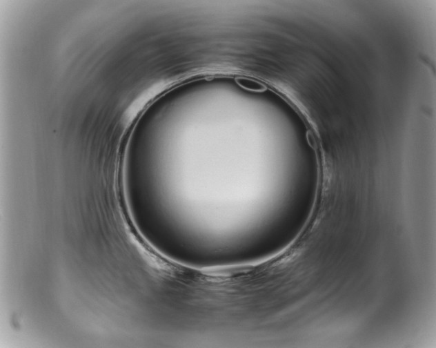 X0000099401245200805151658