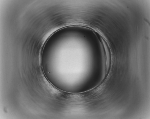 X0000099401246200805151658