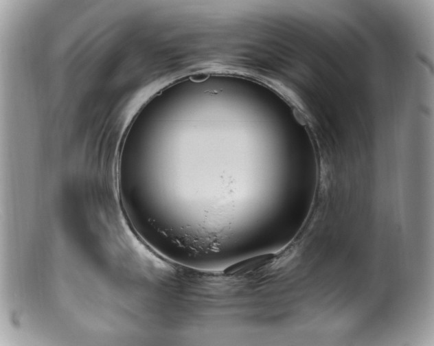 X0000099401247200805151658