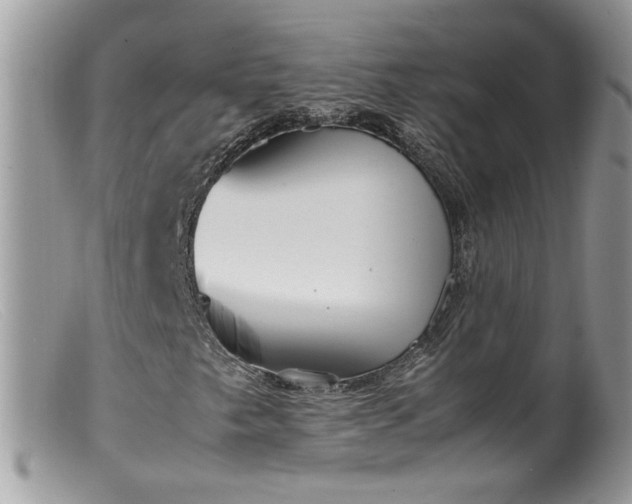 X0000099401249200805151657