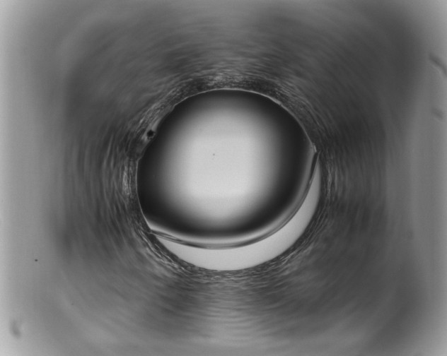 X0000099401250200805151657