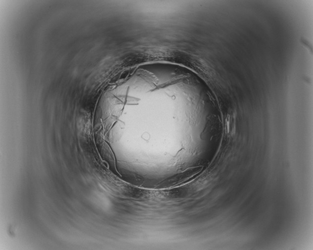 X0000099401251200805151657