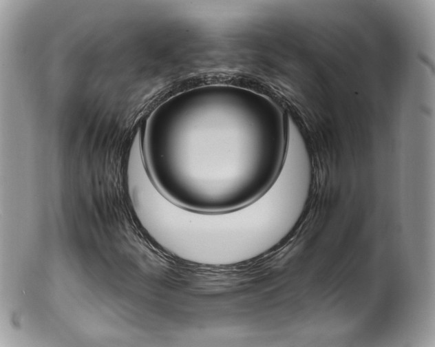 X0000099401252200805151657