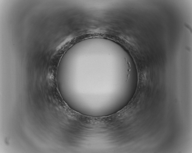 X0000099401254200805151657