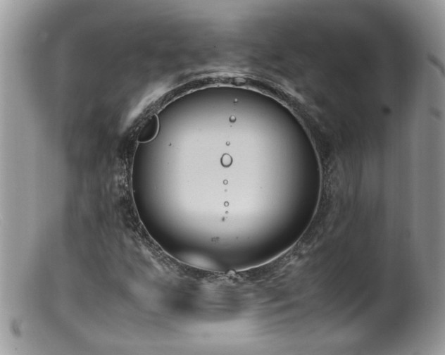 X0000099401255200805151657