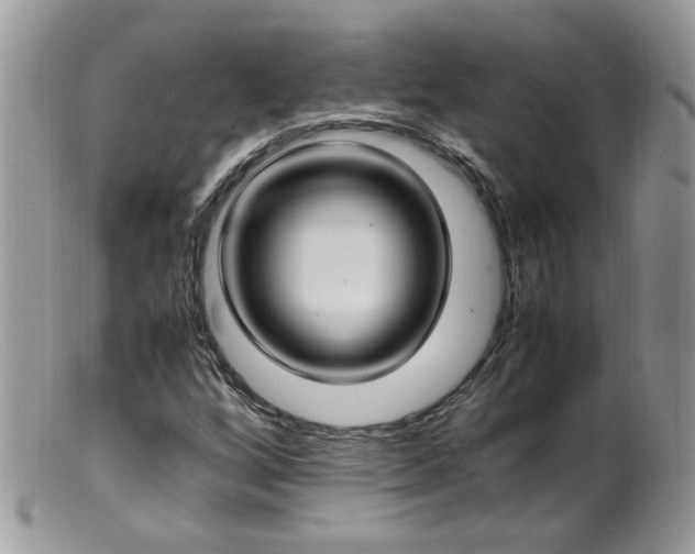 X0000099401256200805151657