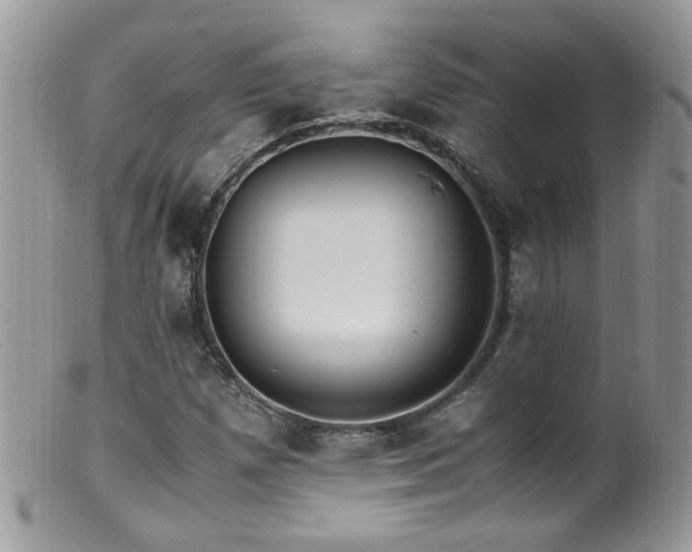 X0000099401257200805151657