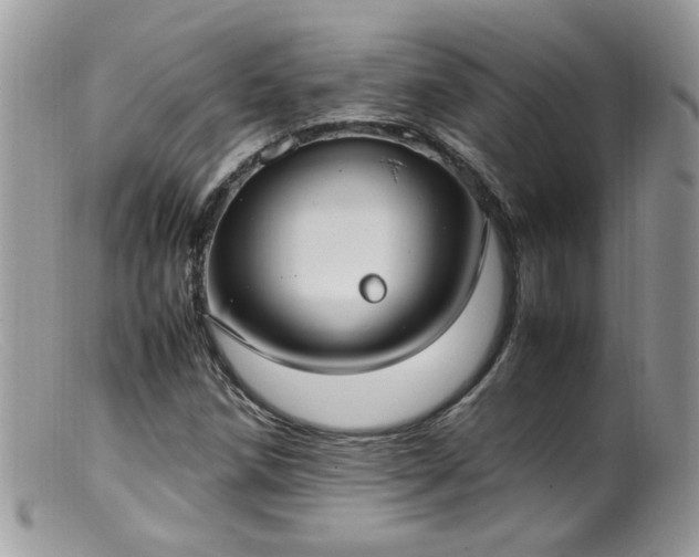 X0000099401258200805151657