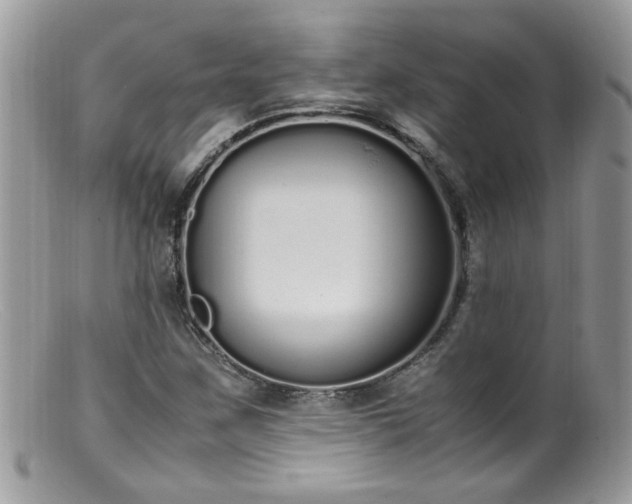 X0000099401259200805151657