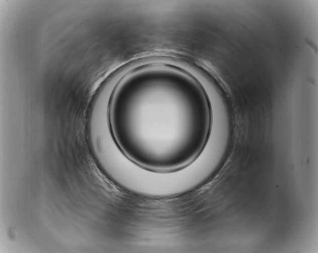 X0000099401260200805151657