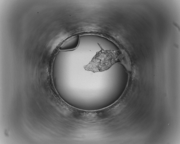 X0000099401261200805151657