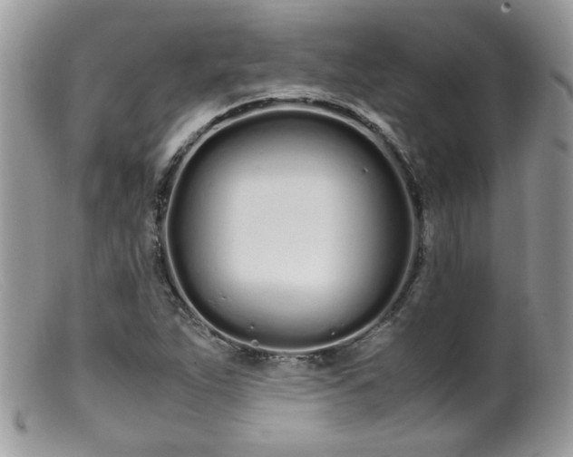 X0000099401263200805151657