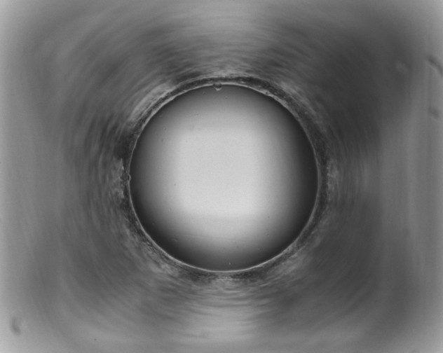 X0000099401265200805151657