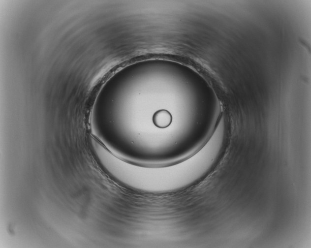 X0000099401266200805151657