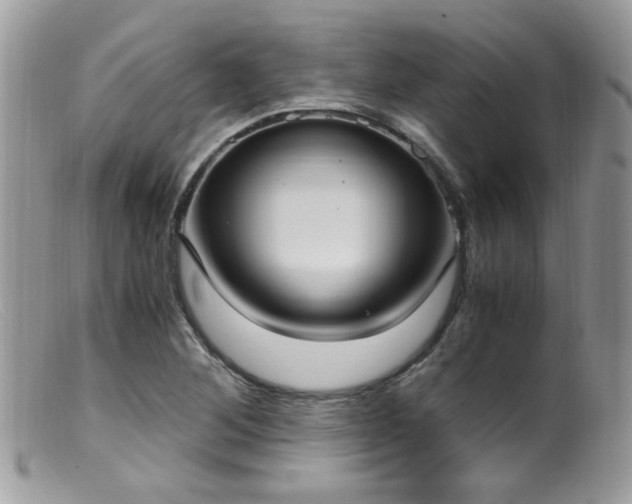 X0000099401268200805151657