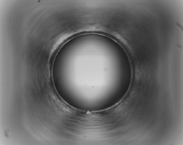 X0000099401270200805151657