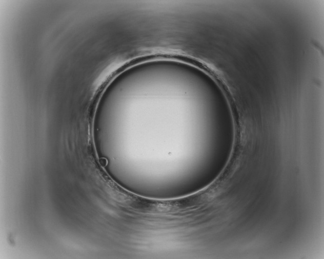 X0000099401271200805151657