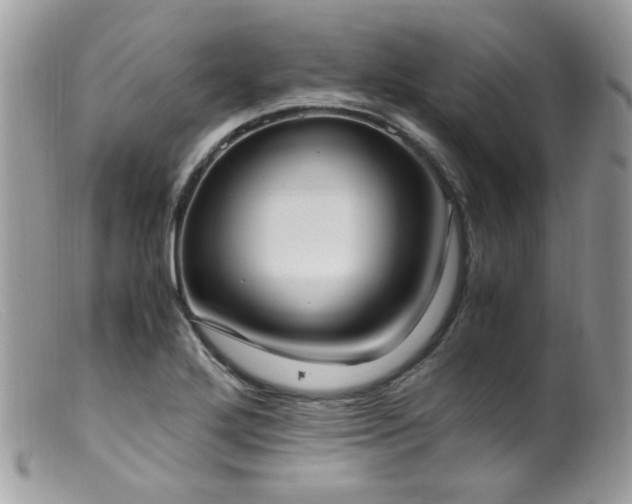 X0000099401272200805151657