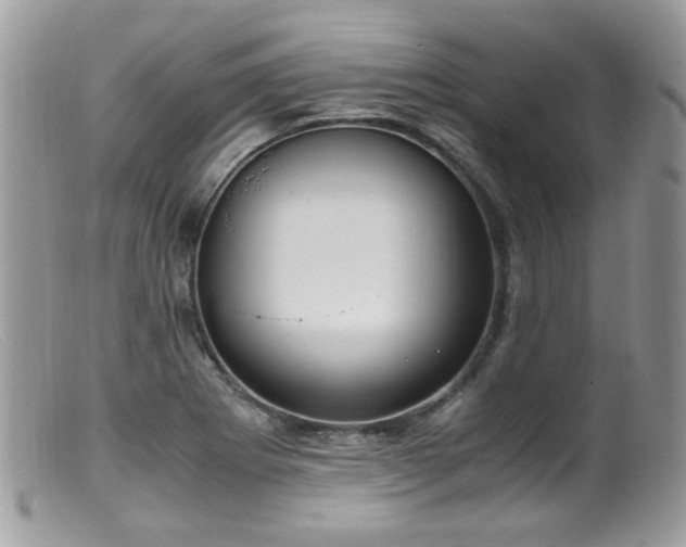 X0000099401273200805151657