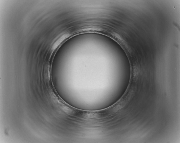 X0000099401274200805151657