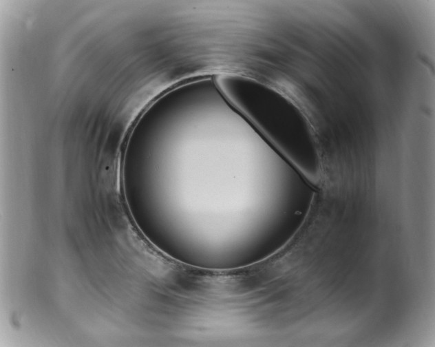 X0000099401276200805151657