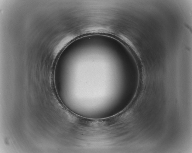 X0000099401277200805151657