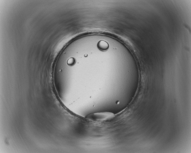 X0000099401279200805151657