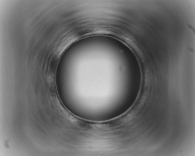 X0000099401281200805151657