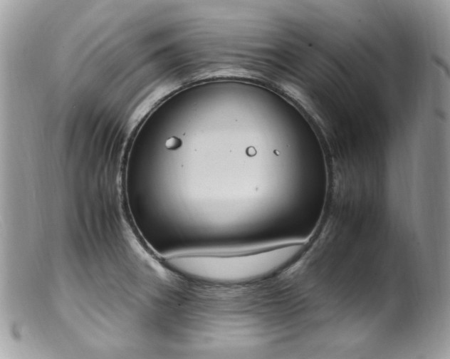 X0000099401282200805151657