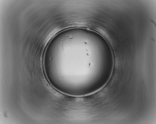 X0000099401283200805151657