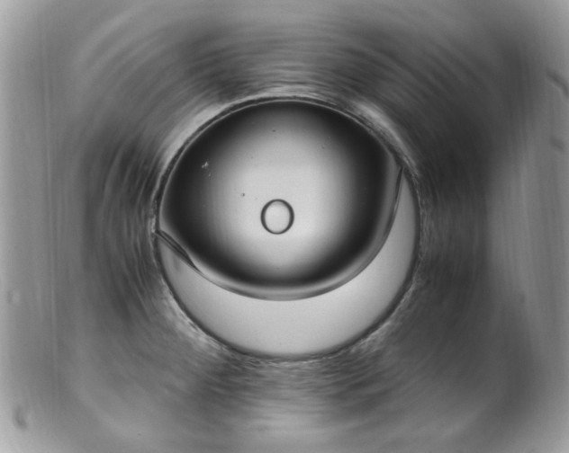 X0000099401284200805151657