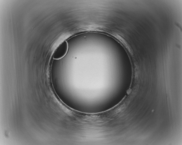 X0000099401285200805151657