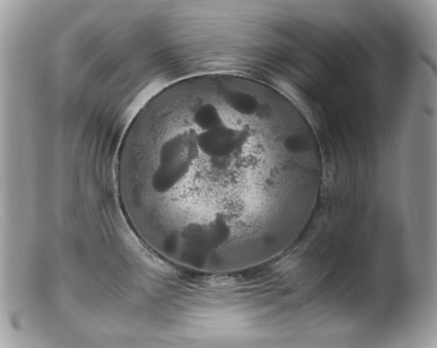 X0000099401291200805151657