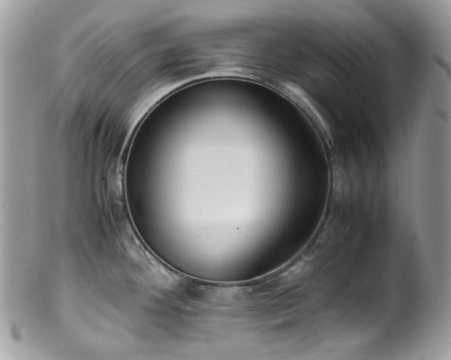 X0000099401292200805151657