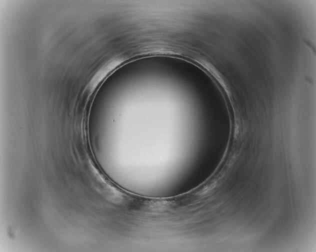 X0000099401293200805151657