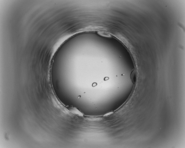 X0000099401296200805151657