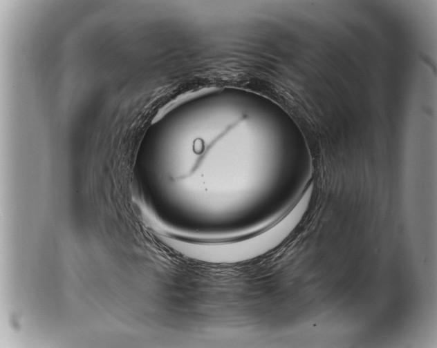 X0000099401297200805151656