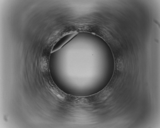 X0000099401298200805151656