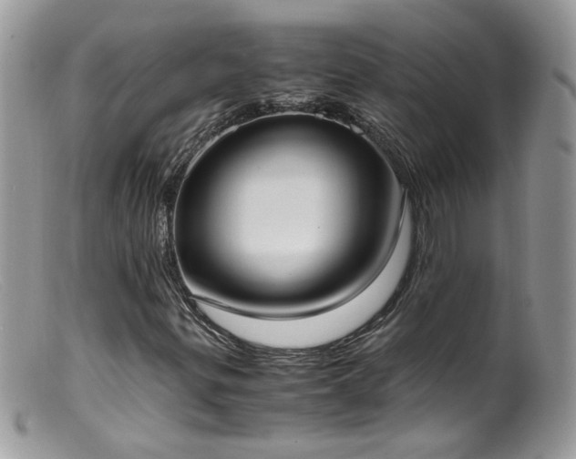 X0000099401299200805151656