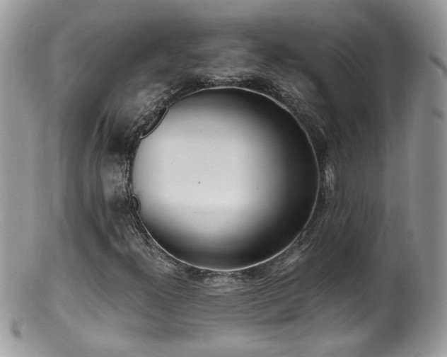 X0000099401300200805151656