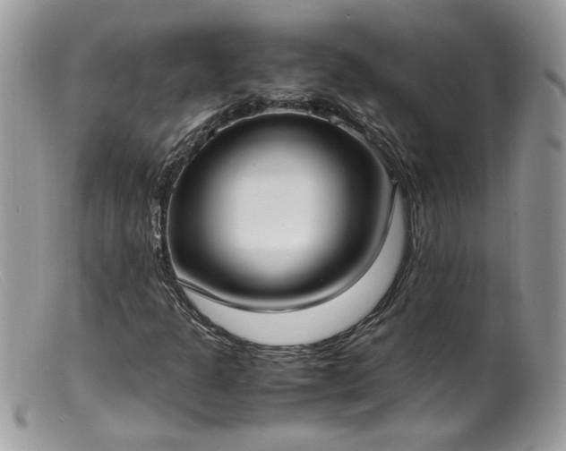 X0000099401301200805151656