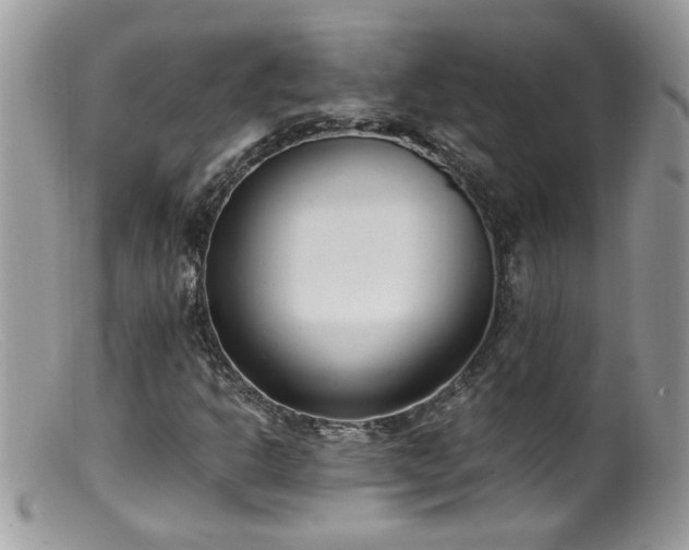 X0000099401302200805151656