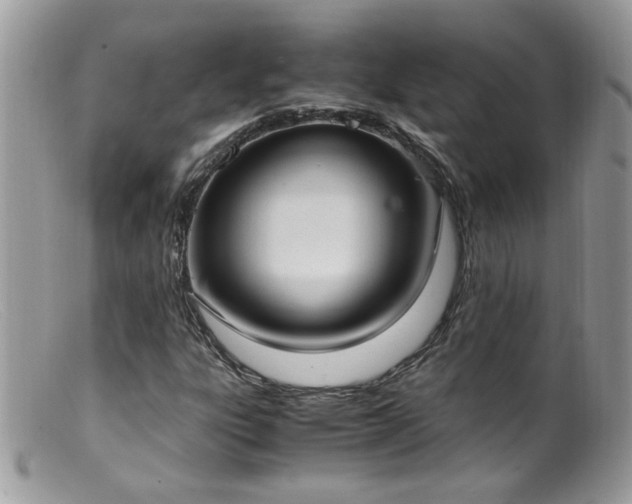 X0000099401303200805151656