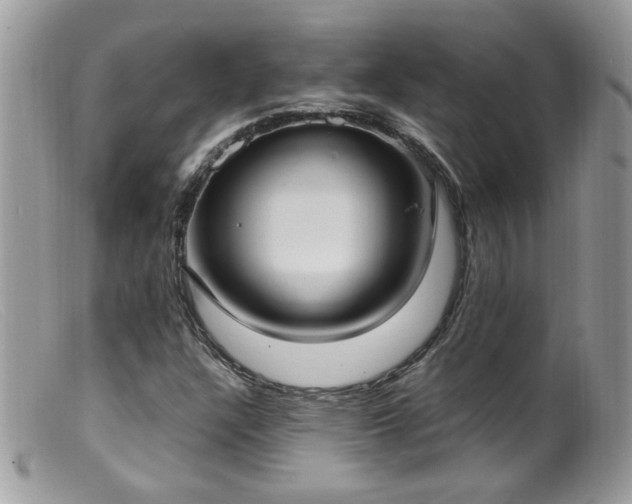 X0000099401304200805151656